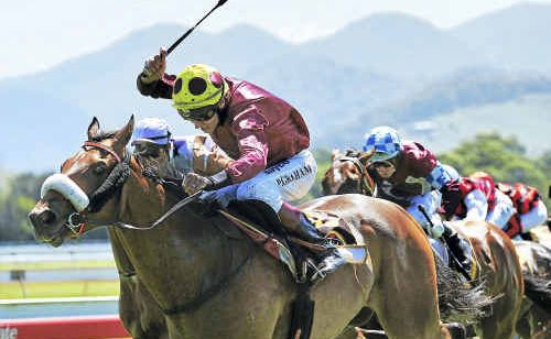 Coffs Harbour Racing Club will hold a catch-up TAB meeting on Thursday. Coffs Harbour Racing Club will hold a catch-up TAB meeting on Thursday.